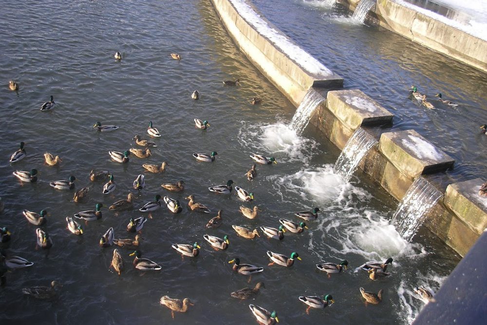 2011.01 корп. Могилев